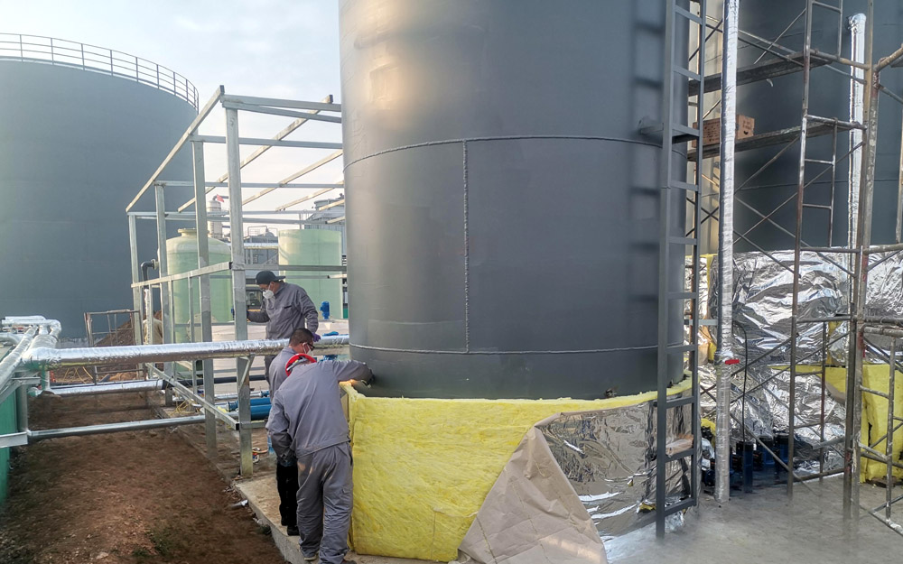 ɽ�������ȩ��֬��ˮ������Ŀ